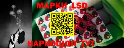 мет Новозыбков