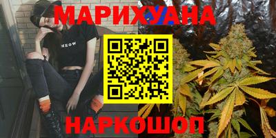 spice Новодвинск