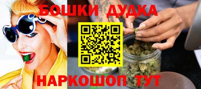 spice Новодвинск