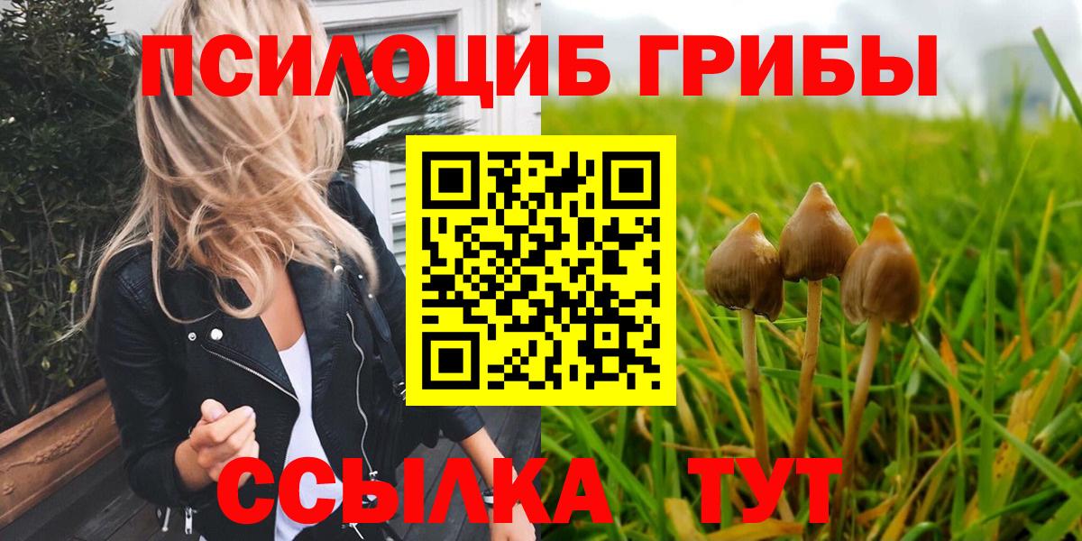 Галлюциногенные грибы мицелий Чистополь